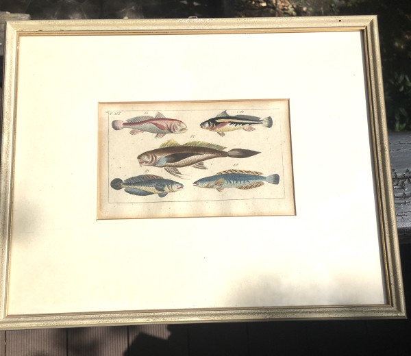 Antikes - Bild mit Fischmotiven